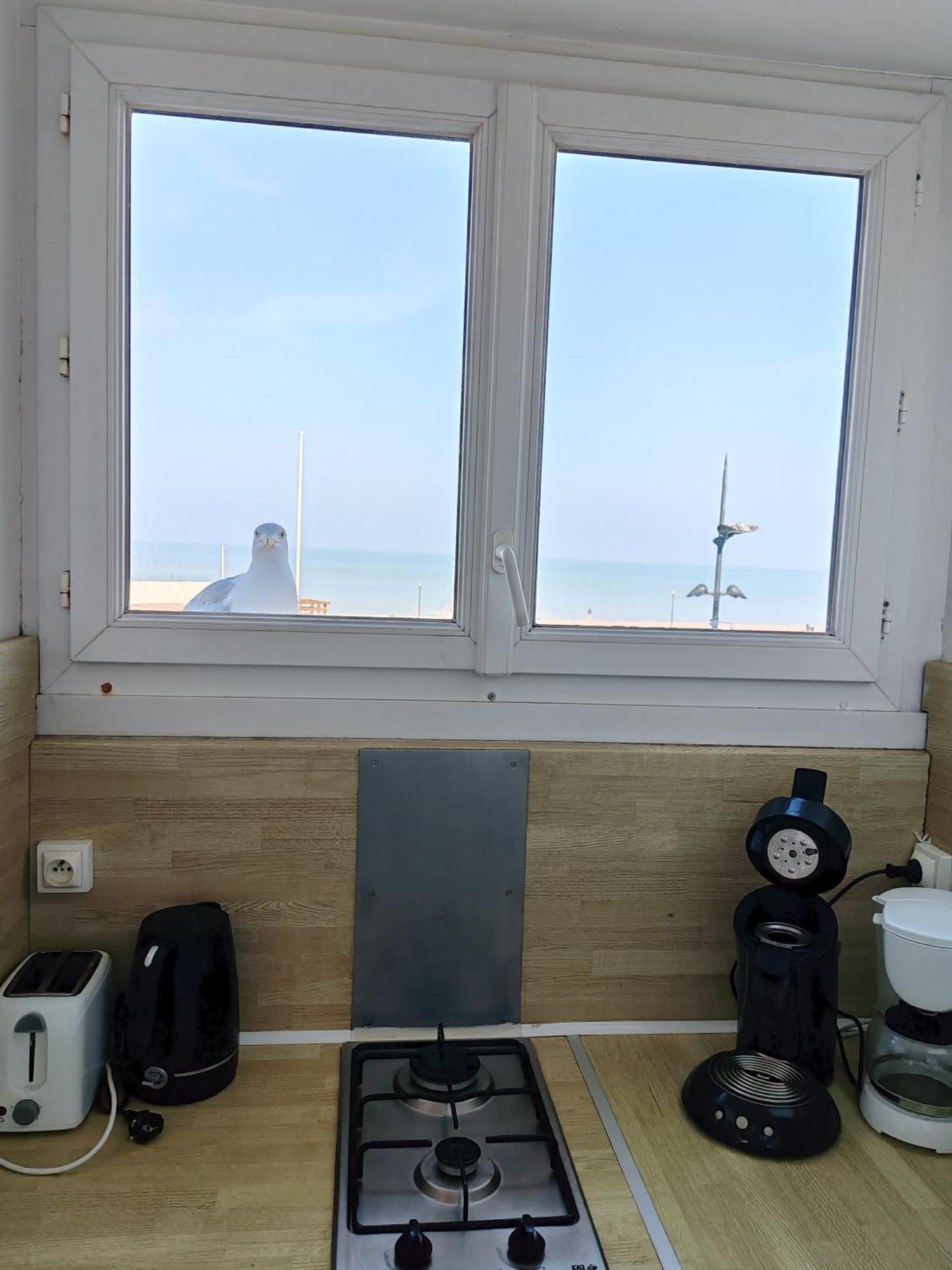 Goeland Apartment Le Tréport Стая снимка